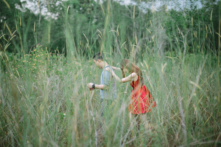 photographed at the lalang field in punggol