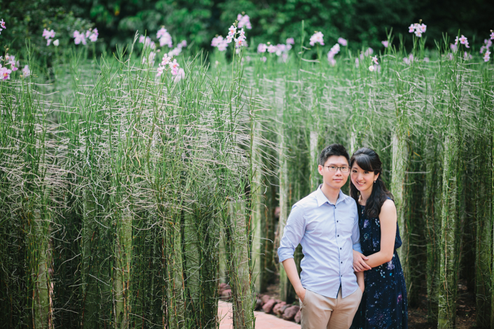 photography by eirik tan at the botanic gardens