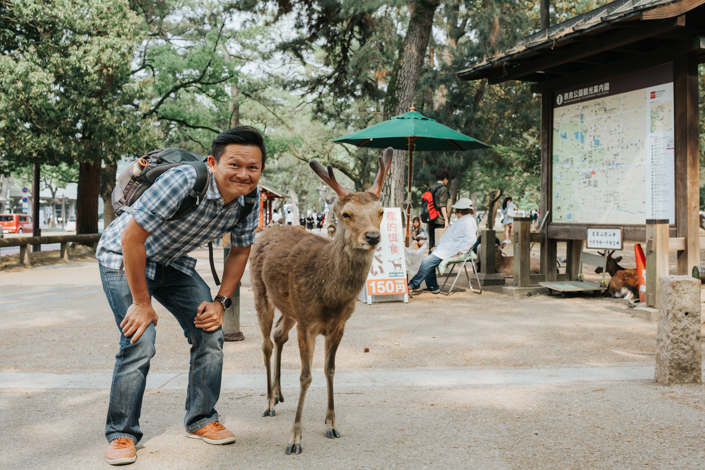 a photo with nara park deer