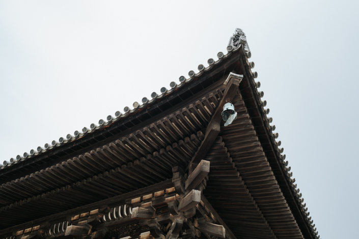 kofukuji pagoda